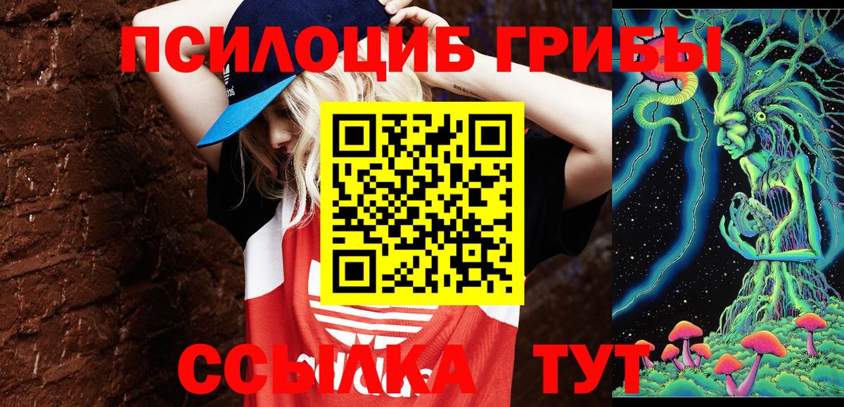 Псилоцибиновые грибы Psilocybe  Вход с VPN  Псилоцибиновые грибы Psilocybine cubensis  Домодедово 