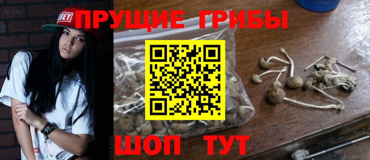 Галлюциногенные грибы Cubensis Домодедово